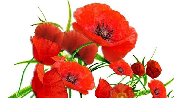 З Днем перемоги над нацизмом!