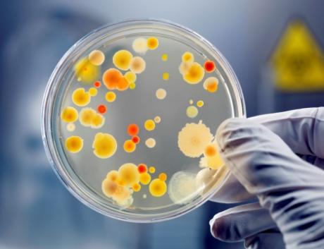 Профілактика гострих кишкових інфекцій