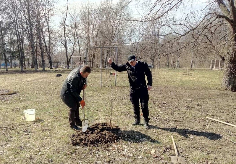 У парку Сумського госпіталю ветеранів війни учасники бойових дій висадили саджанці фруктових дерев
