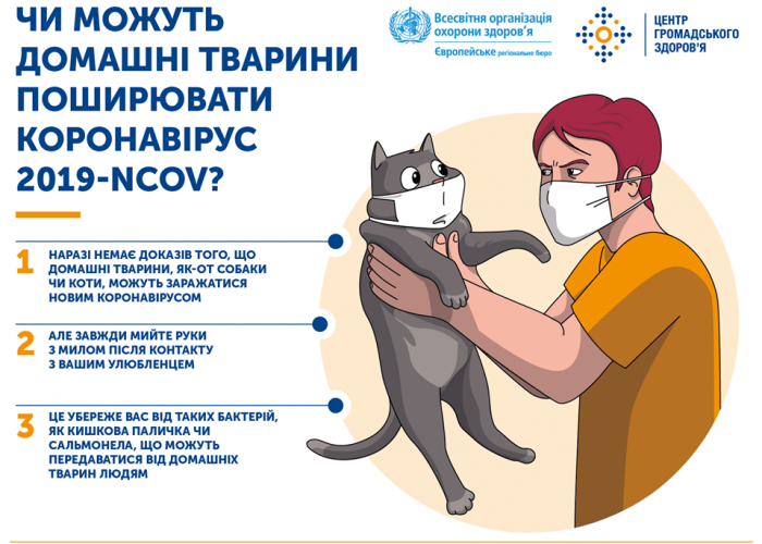 83523797_1710892522368802_2709035473602347008_o