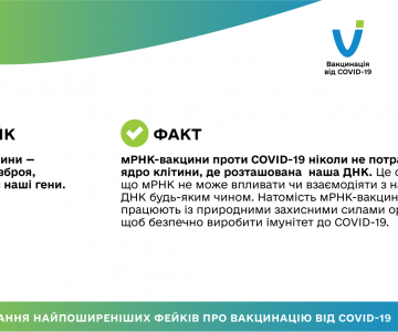 03 03 2021 fakes vs facts-09 — копия